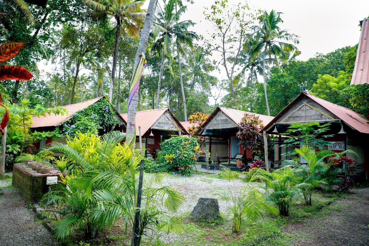The Cliff Cottage ורקלה מראה חיצוני תמונה
