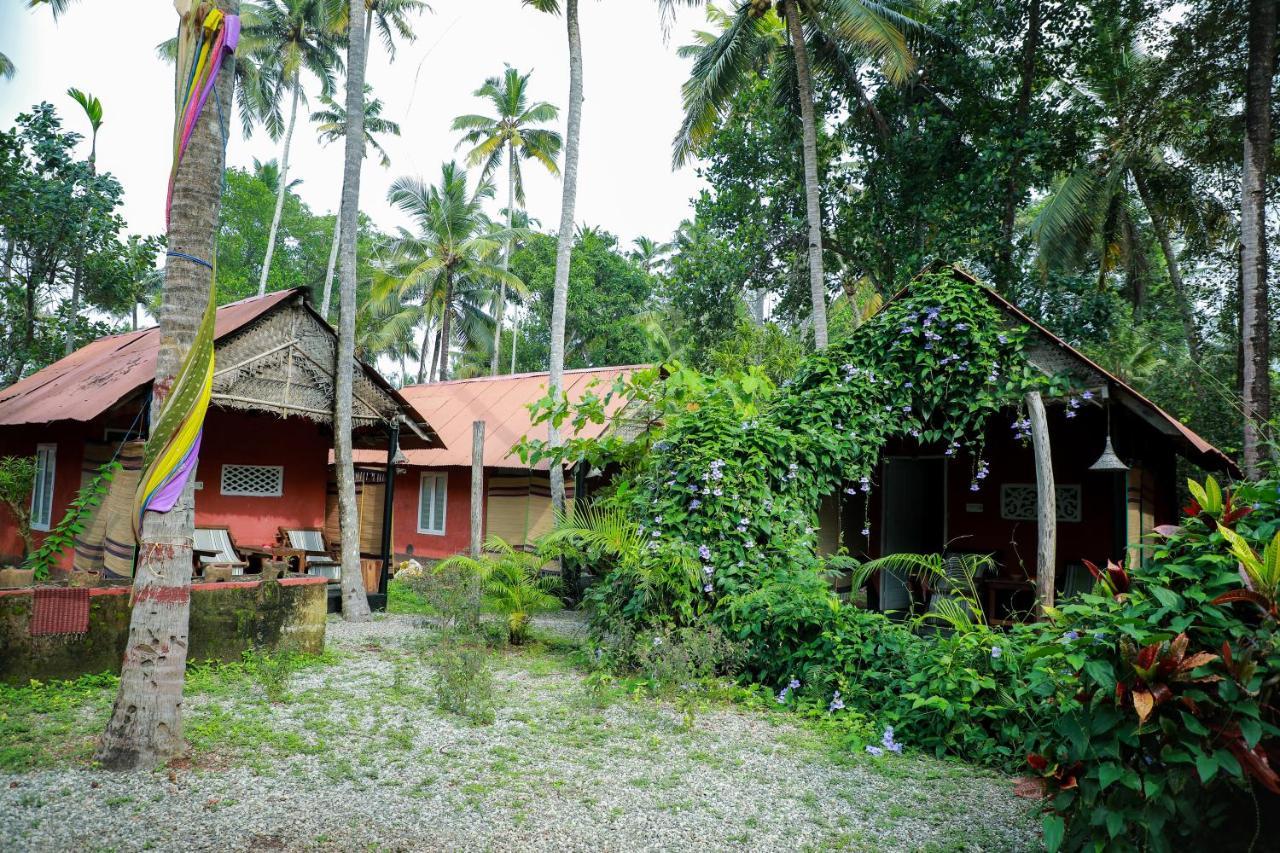 The Cliff Cottage ורקלה מראה חיצוני תמונה