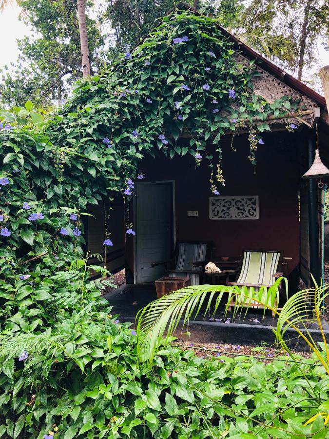 The Cliff Cottage ורקלה מראה חיצוני תמונה
